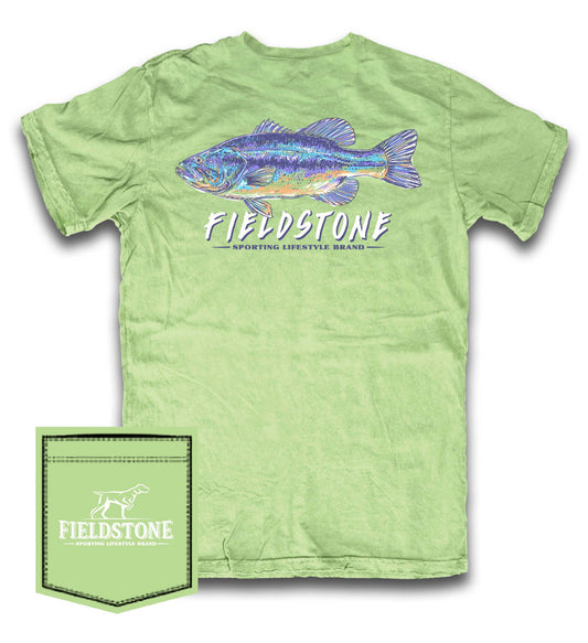 Fieldstone- Colorful Bass